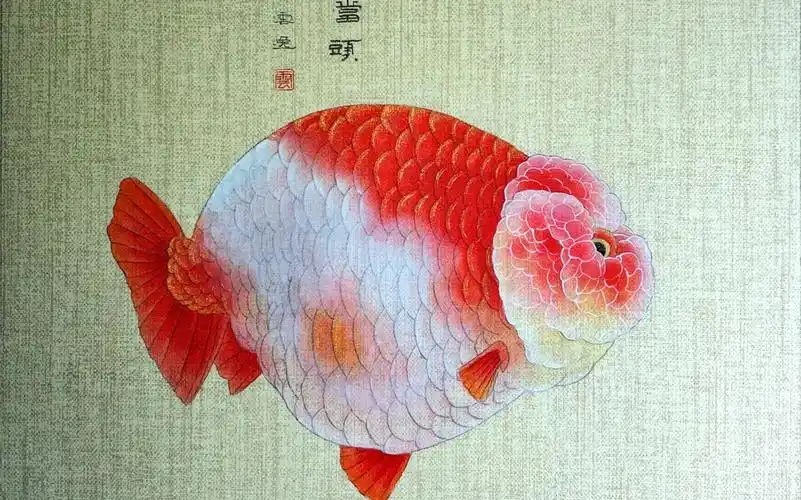 鸿运当头 金鱼主题工笔画