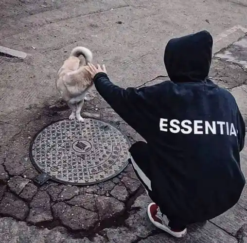 头像丨手机电量1%也要用的微信头像_壁纸_用户_个性