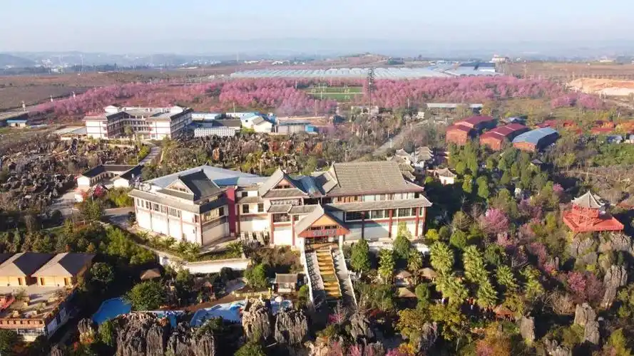 石林杏林大观园定期开展中医养生课程,全力打造康养胜地 杏林大观园