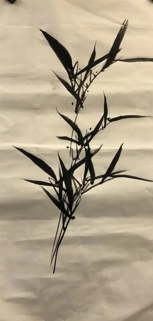 20.画家汤贵强老师来我院为习画爱好者教学竹子,石头和小鸡的画法.