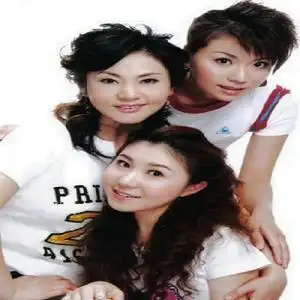 流行组歌2专辑_黑鸭子_无损音乐专辑_酷我音乐