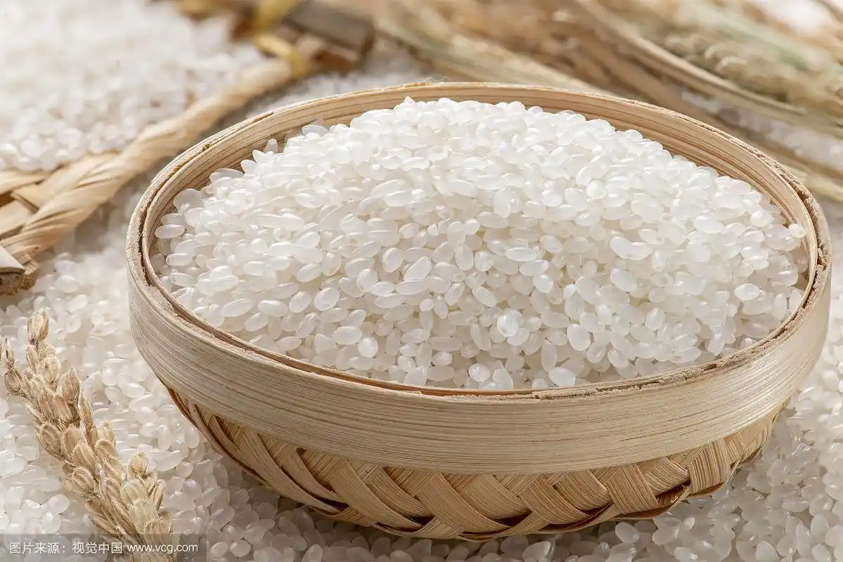 大米米粒特写