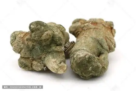 2,三七粉怎样就是发霉了