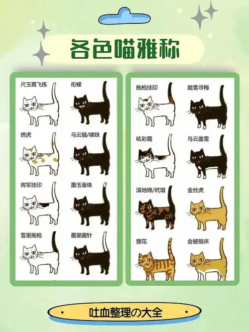 土猫分类7种中华田园猫和26种花色雅称