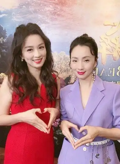 张庭夫妇公司涉嫌传销被查处,让人烂脸的微商害人不浅|贾静雯|张馨予