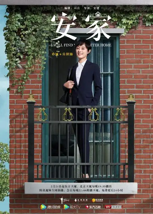 电视剧安家定档海报图片