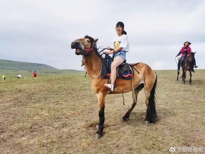 微博旅行家##带着微博去草原##城市巡游记