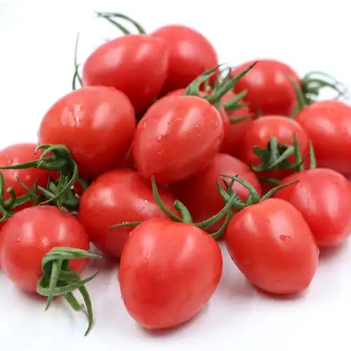 现摘小番茄新鲜圣女果农家蔬菜水果樱桃西红柿5斤装