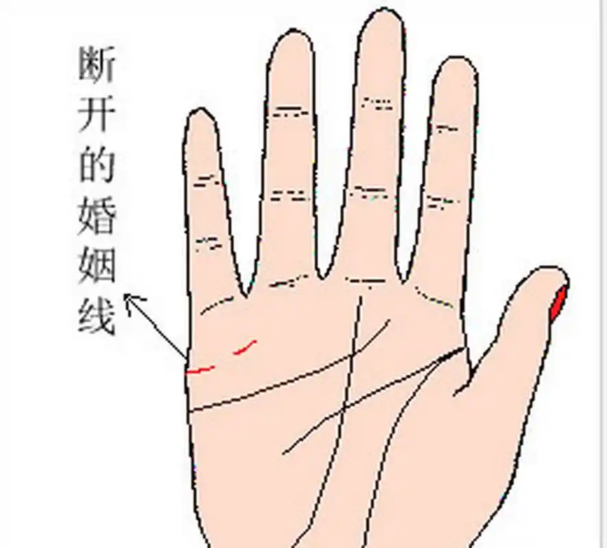 手相算命手掌婚姻线中间断开好吗?  手掌婚姻线中间断裂.手掌婚姻线中