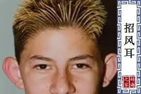 【招风耳】的意思和解释