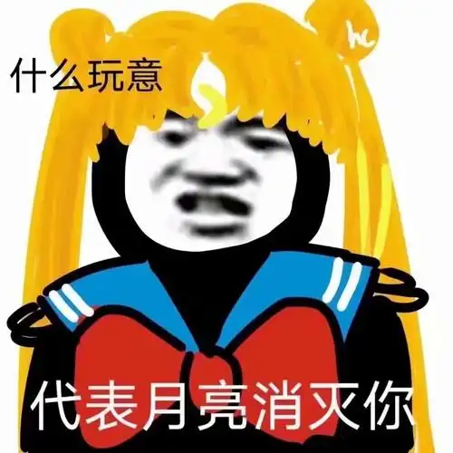 什么玩意代表月亮消灭你一组沙雕斗图表情包