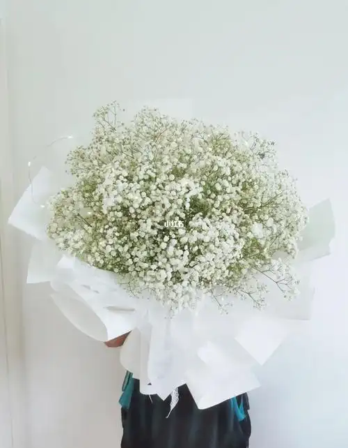 白色满天星花束