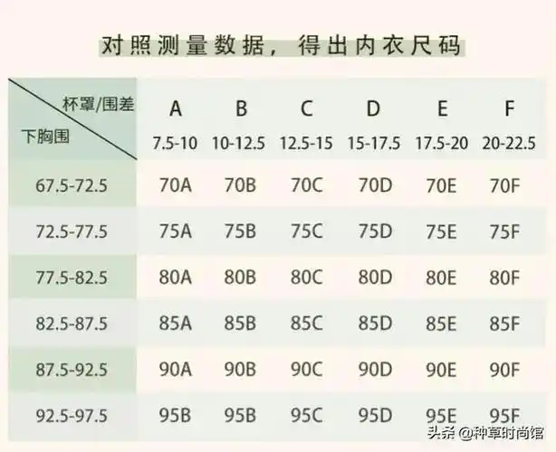 对照国际标准就可以知道是abcd哪个罩杯了