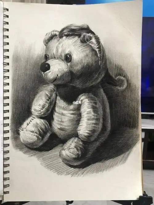 素描静物毛绒小熊