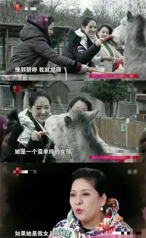 回顾郭碧婷从益达女孩到生育机器或许这是入豪门的代价