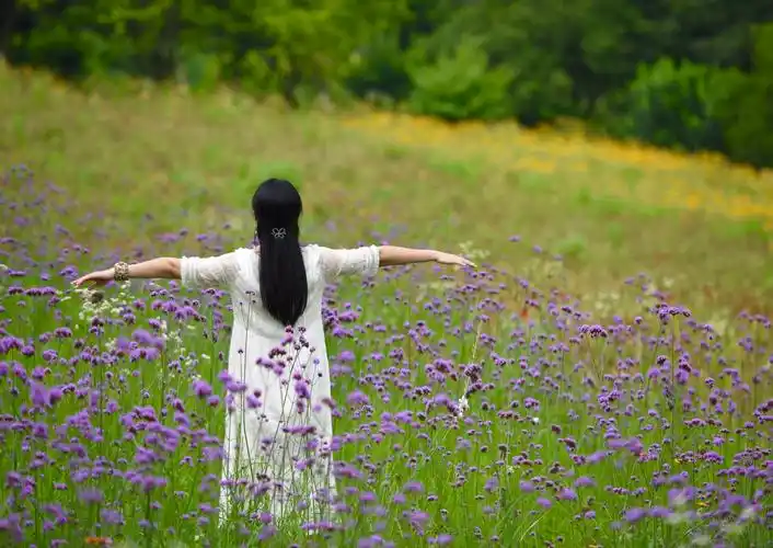 静守己心浅笑安然