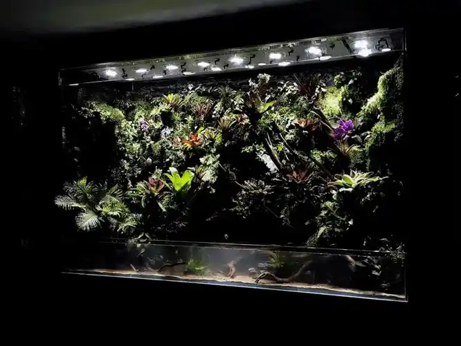 这几个长沙伢子,玩鱼缸玩出了点名堂-石雕百科-雕塑头条-雕龙客-雕塑