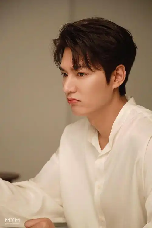 太迷人了李敏镐