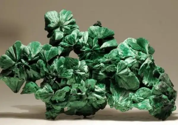 中国十大名石排行榜寿山石和青田石排前两名2