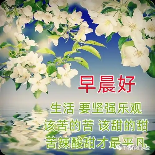精美温馨的早上好问候祝福图片精选微信最美的早上好祝福表情祝福语