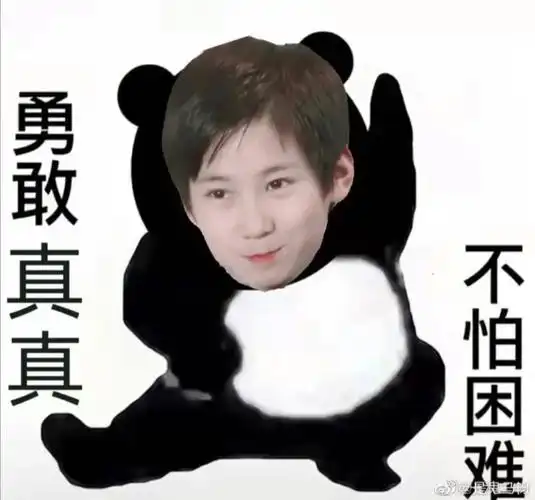 张真源表情包八