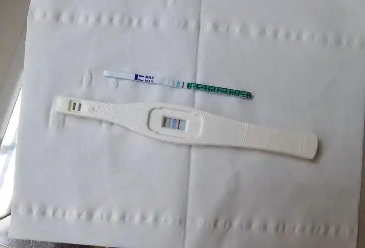 谈天说地 第一次用试纸,测出来了两条杠只看该作者楼主 67小成子 怀孕