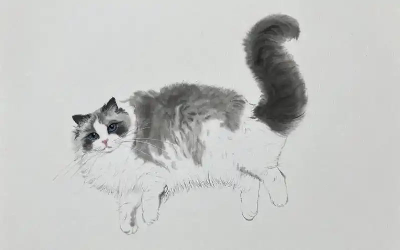 水墨画猫咪 国画猫咪的画法
