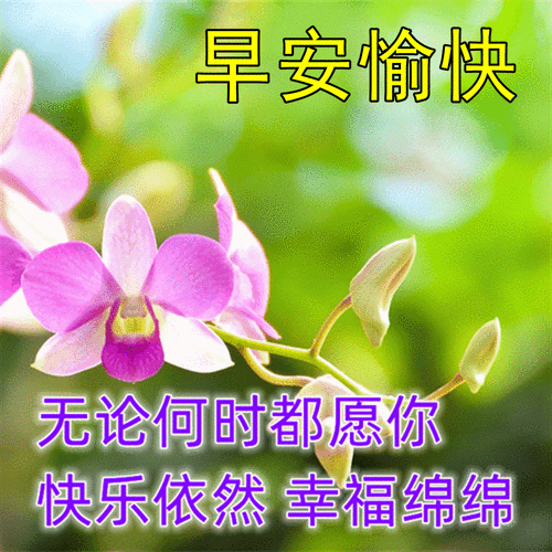 早上好祝福语图片推荐,最美早安图片带字带问候语