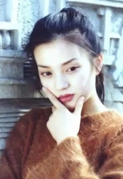 "小燕子"赵薇母亲魏启颖:女儿被封杀,儿子离婚分走数亿财产