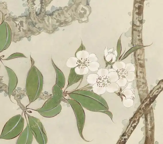 张大千梨花山雀工笔花鸟国画禅意简约中国国风国画