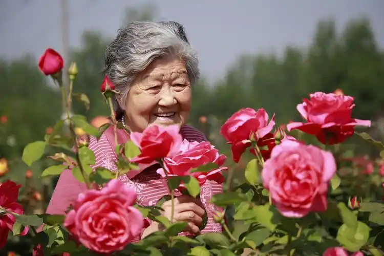 《妈妈的微笑》(副本)