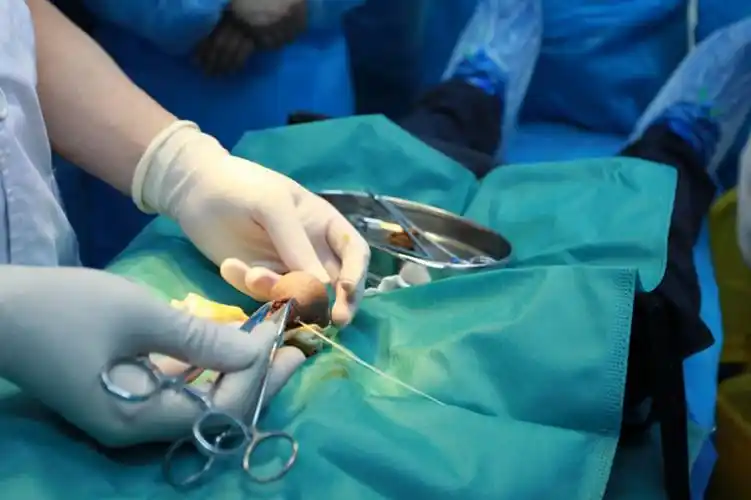 山南包茎专家_山南治疗包茎哪个专家好_山南治疗包茎最好的专家/排行