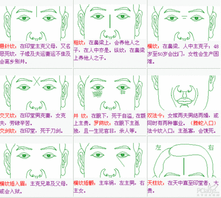 【图文推荐】反映德行的阴骘纹