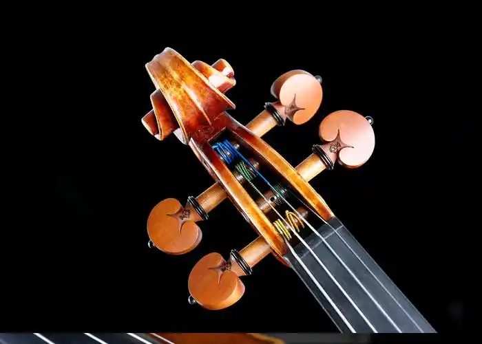 奥地利thomastik托马斯白金琴弦派π小提琴琴弦eadg尼龙套弦