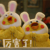 鹦鹉兄弟是什么梗鹦鹉兄弟出自哪里