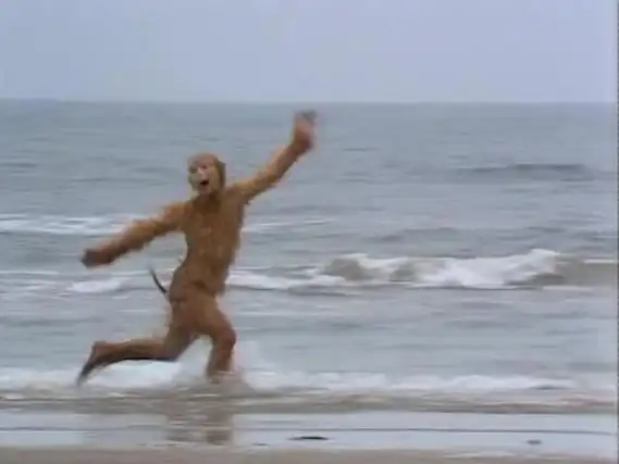 " "《老人与海》?" "《西游记》.