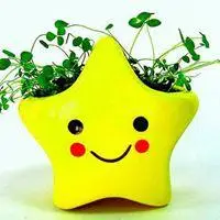 表示开心的头像_微信头像图片大全