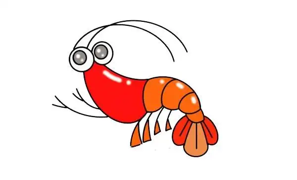 可爱大虾简笔画画法步骤图片教程