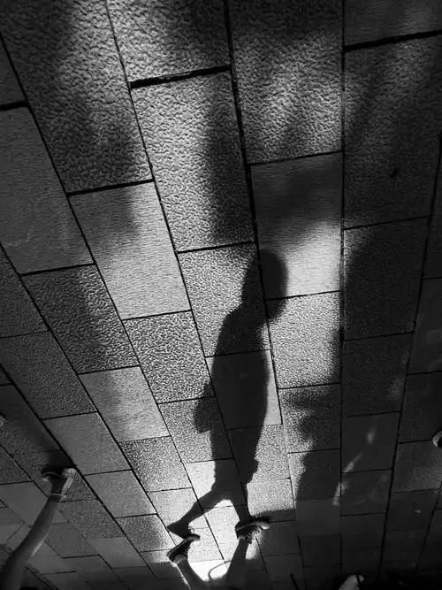 在阳光下,拍行人的影子也是很有意思,这个人是不是在边走路边思考呢?