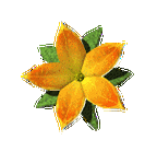 140_146gif 动态图 动图