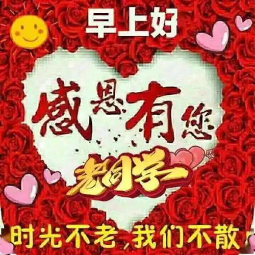 早上好表情包感恩有你老同学时光不老我们不散