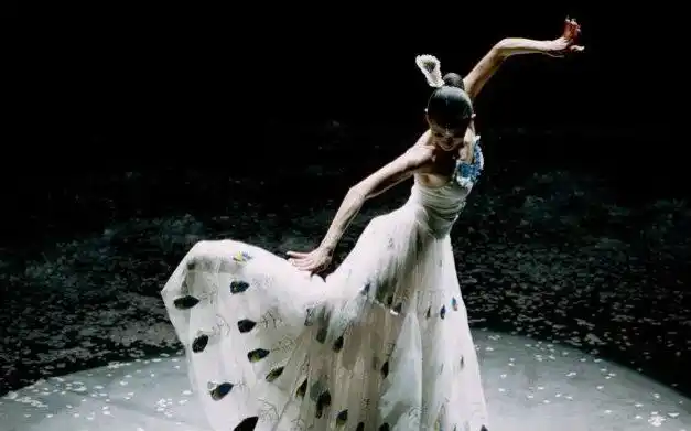 【独舞】杨丽萍《雀之灵》 美若天仙的灵魂舞者