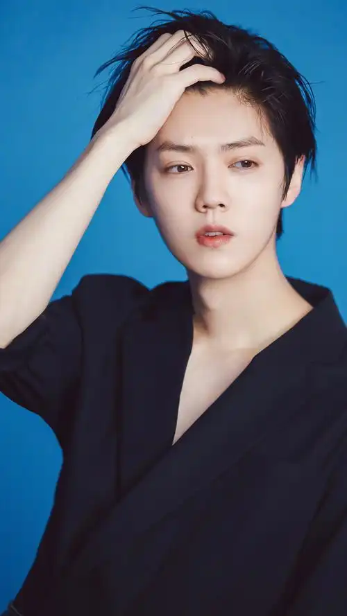 我喜欢的男孩-鹿晗,治愈微笑,人间理想,星… - 堆糖,美图壁纸兴趣社区