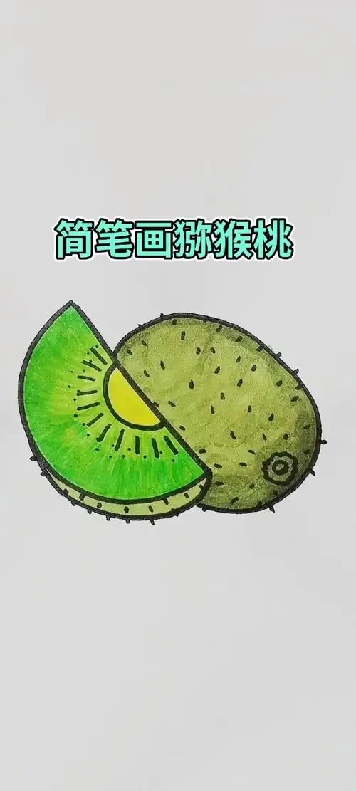 简笔画猕猴桃