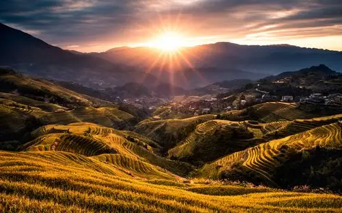 太阳光芒照耀,金黄稻田丰收,龙脊梯田焕发勃勃生机