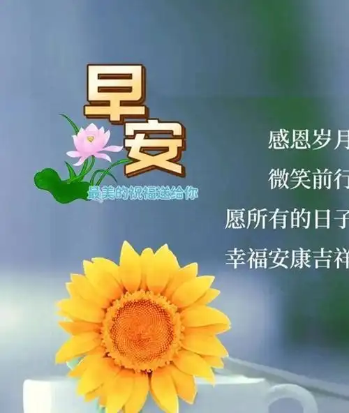今日早安问候语早安祝福图相当精彩