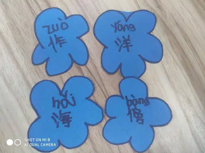 我们自己做的生字卡片