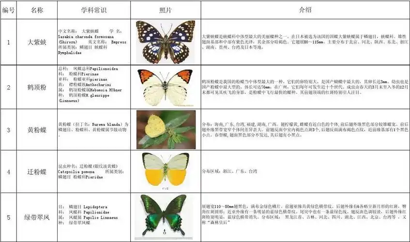 蝴蝶鉴赏