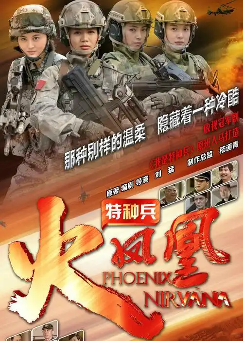 特种兵之火凤凰【精简版】 第18集