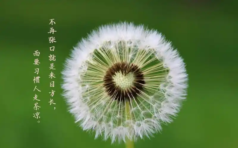 下一组 相关专题 文字图片伤感图片 相关标签 悲凉看透人心文字伤感